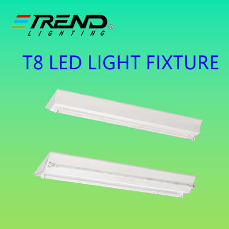 T8 LED Light Fixture, Cold White